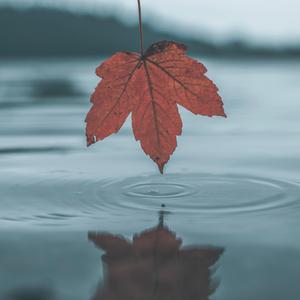 女人被添荫蒂高潮了

